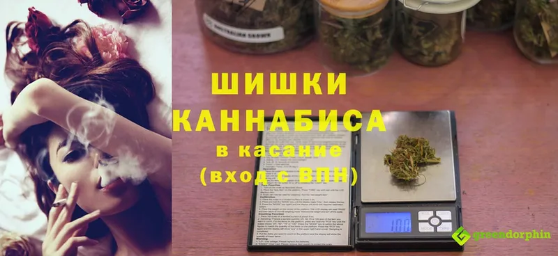 KRAKEN сайт  Камышлов  Бошки Шишки Amnesia 